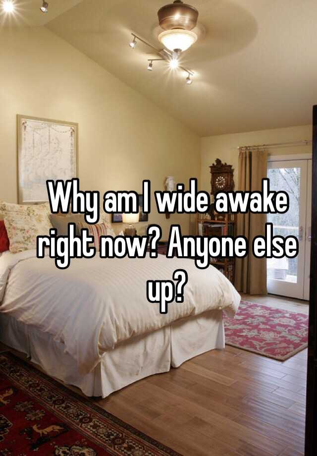 why-am-i-wide-awake-right-now-anyone-else-up