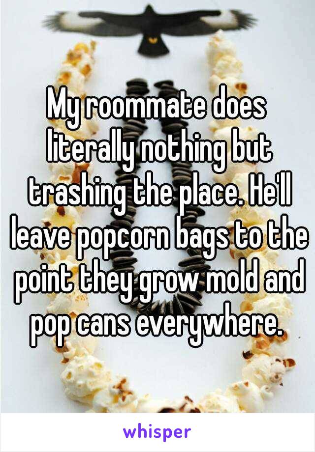 My roommate does literally nothing but trashing the place. He'll leave popcorn bags to the point they grow mold and pop cans everywhere. 
