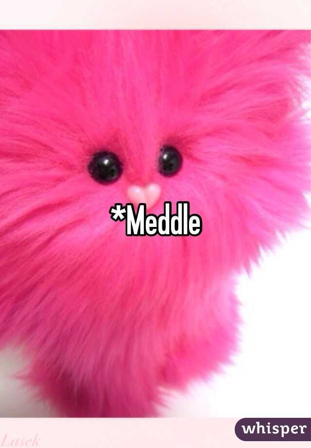 *Meddle