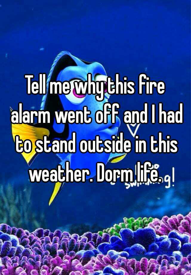 tell-me-why-this-fire-alarm-went-off-and-i-had-to-stand-outside-in-this