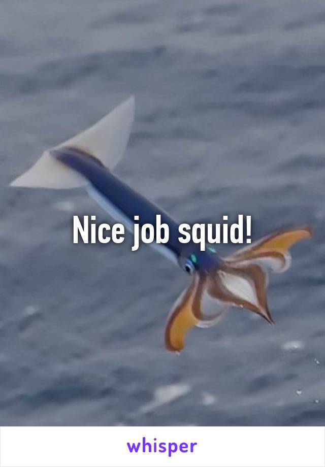 Nice job squid!
