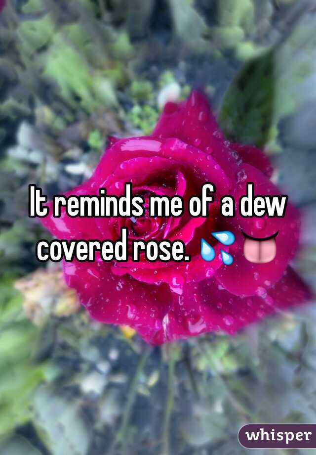 It reminds me of a dew covered rose. 💦👅