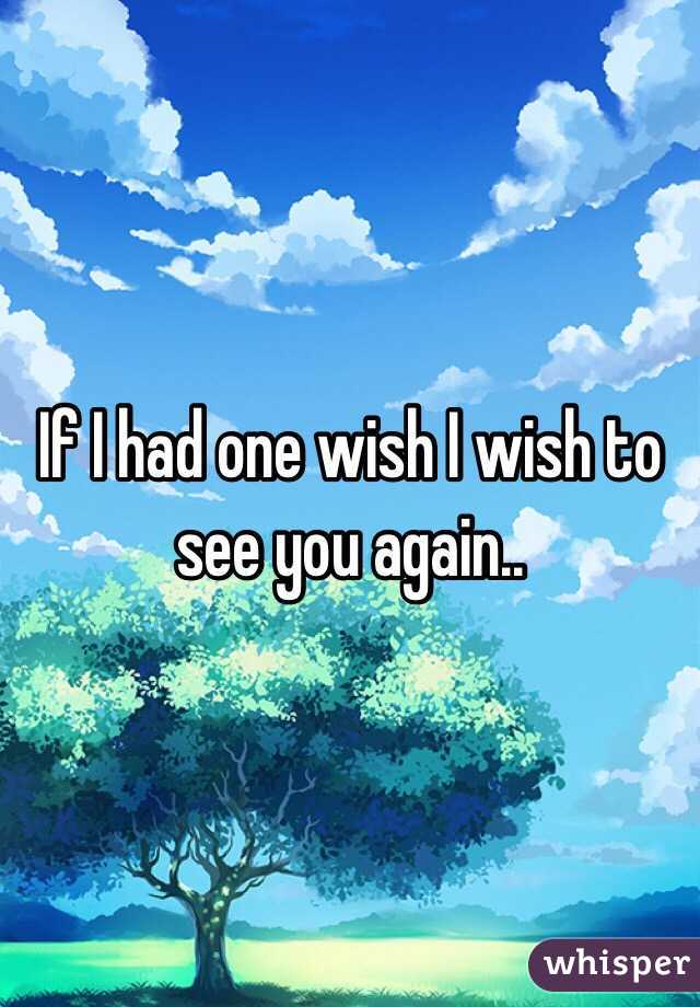 If I had one wish I wish to see you again..
