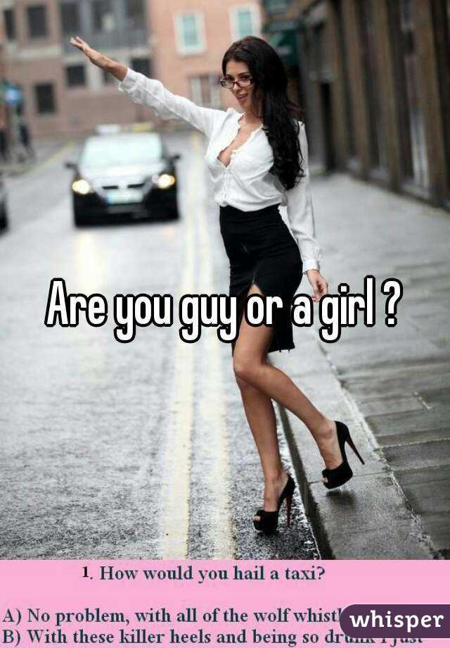 Are you guy or a girl ?