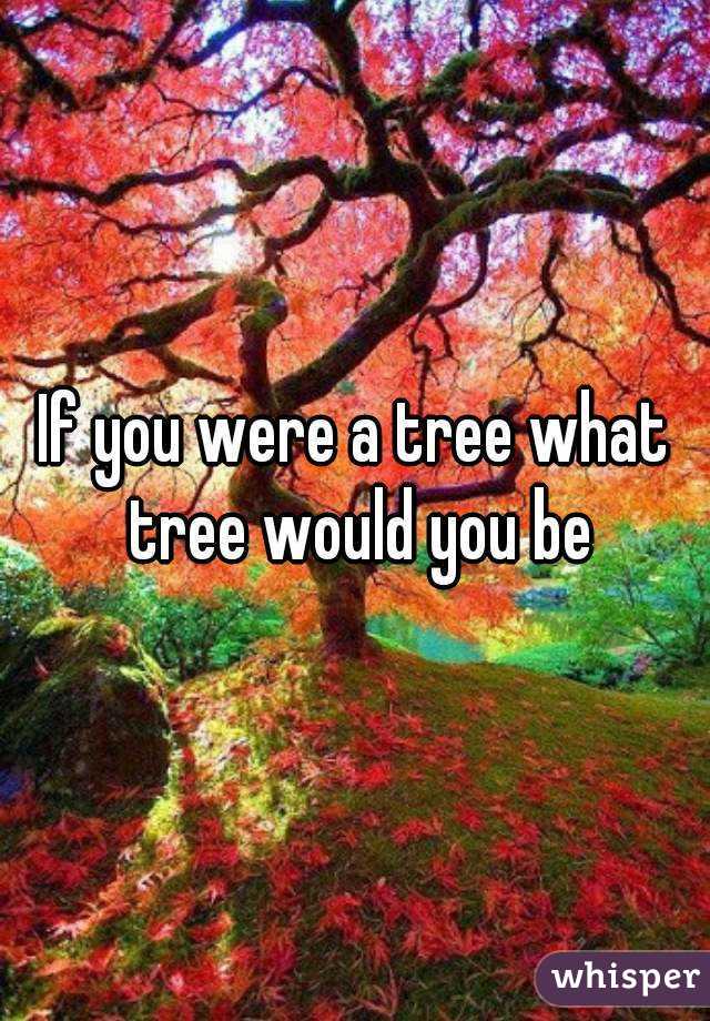 If you were a tree what tree would you be