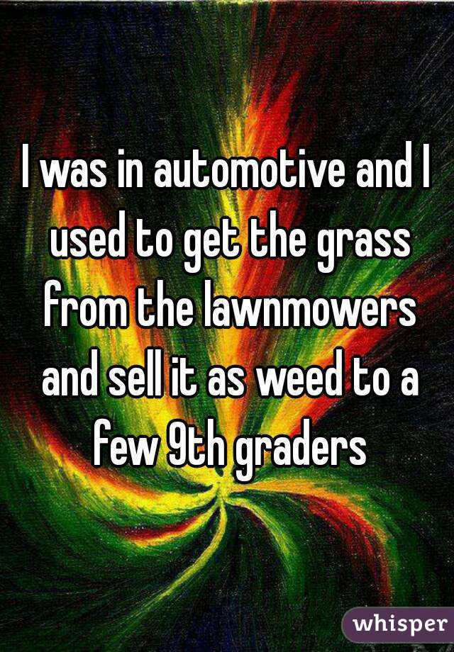 I was in automotive and I used to get the grass from the lawnmowers and sell it as weed to a few 9th graders