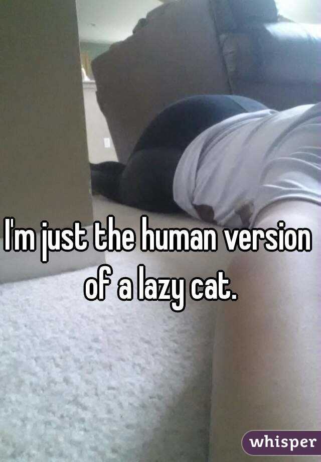 I'm just the human version of a lazy cat.