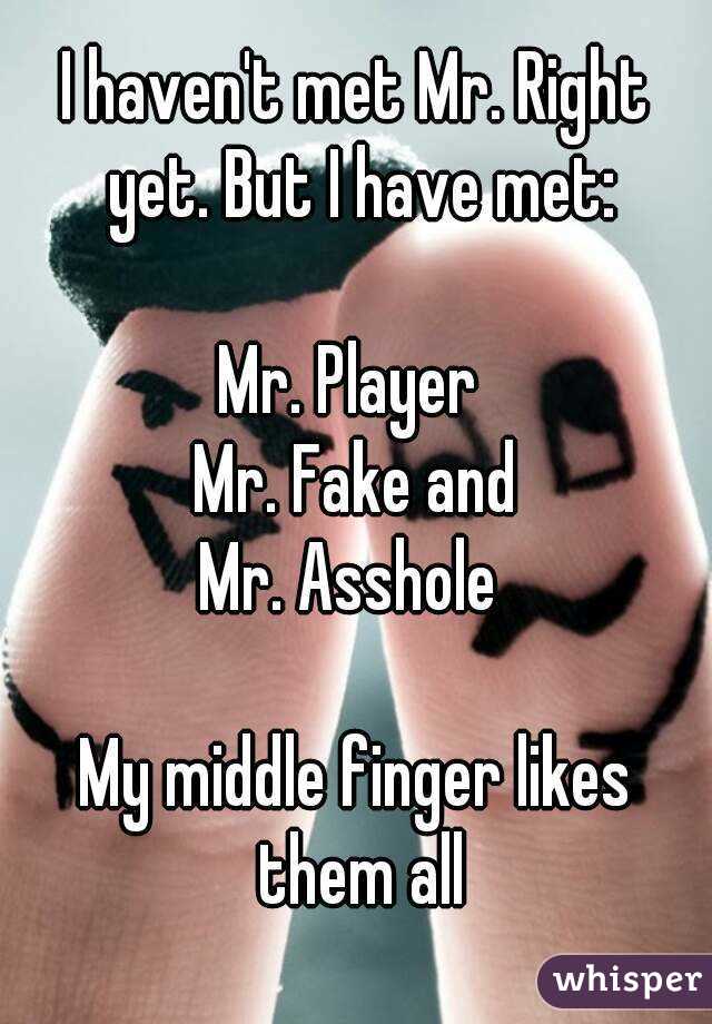 I haven't met Mr. Right yet. But I have met:

Mr. Player 
Mr. Fake and
Mr. Asshole 

My middle finger likes them all