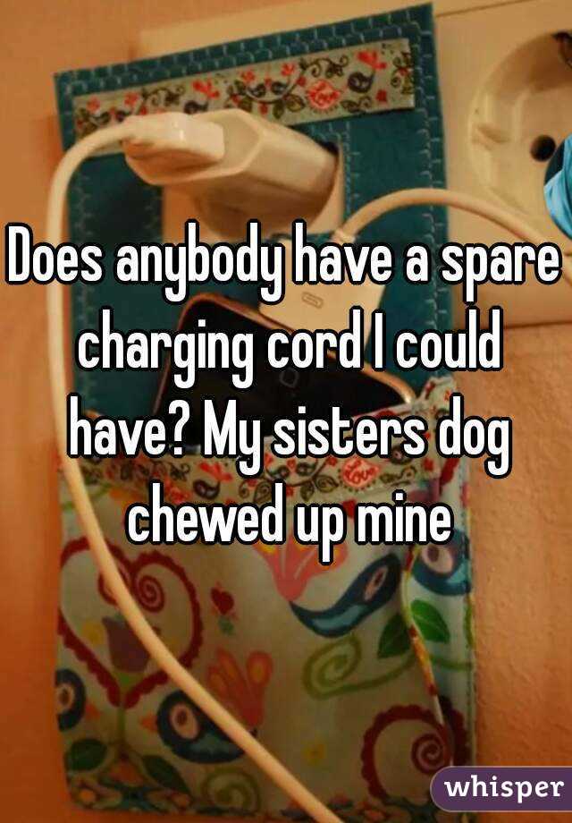 Does anybody have a spare charging cord I could have? My sisters dog chewed up mine