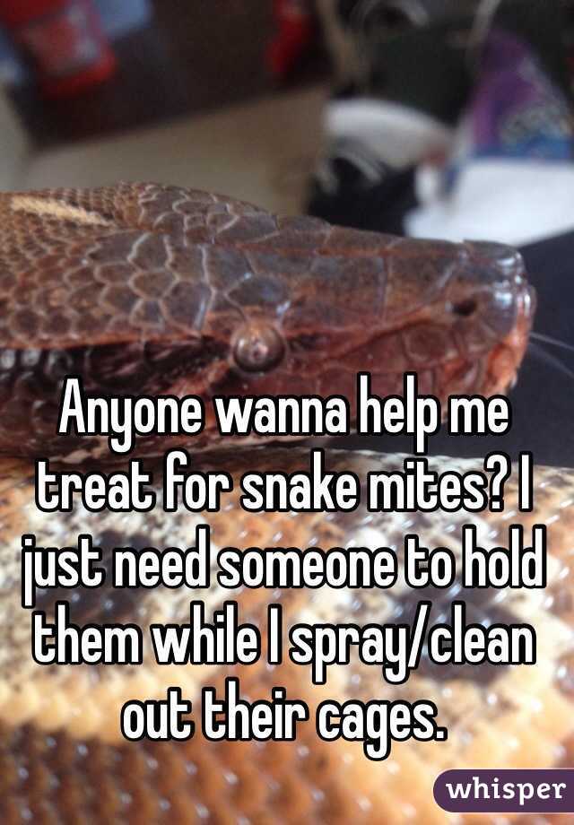 Anyone wanna help me treat for snake mites? I just need someone to hold them while I spray/clean out their cages.