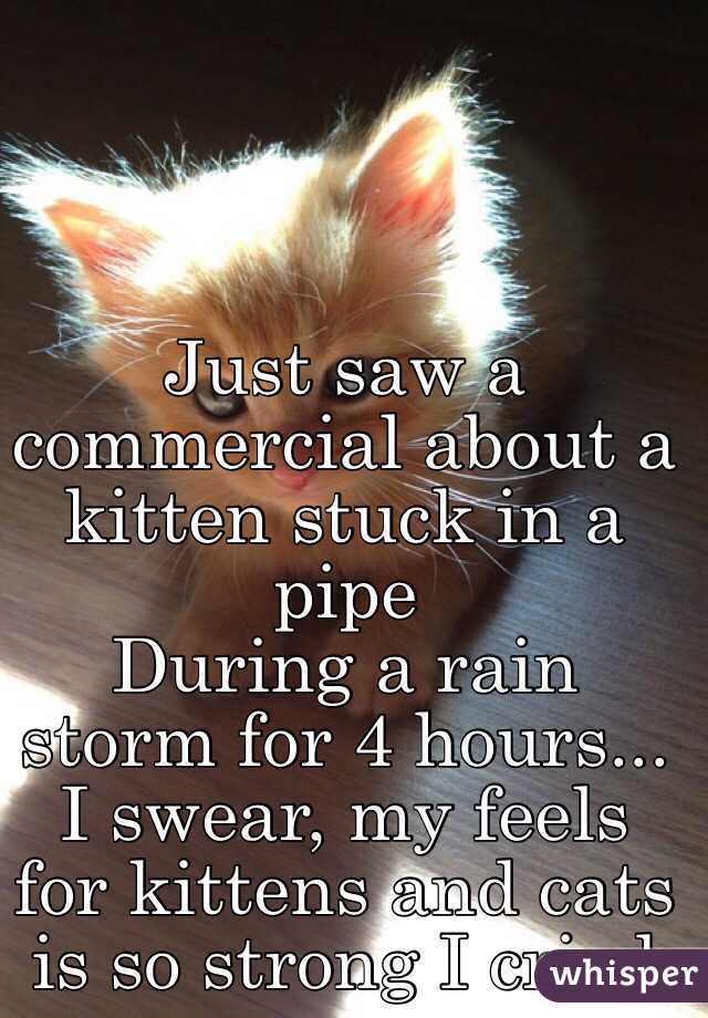 Just saw a commercial about a kitten stuck in a pipe
During a rain storm for 4 hours... I swear, my feels for kittens and cats is so strong I cried