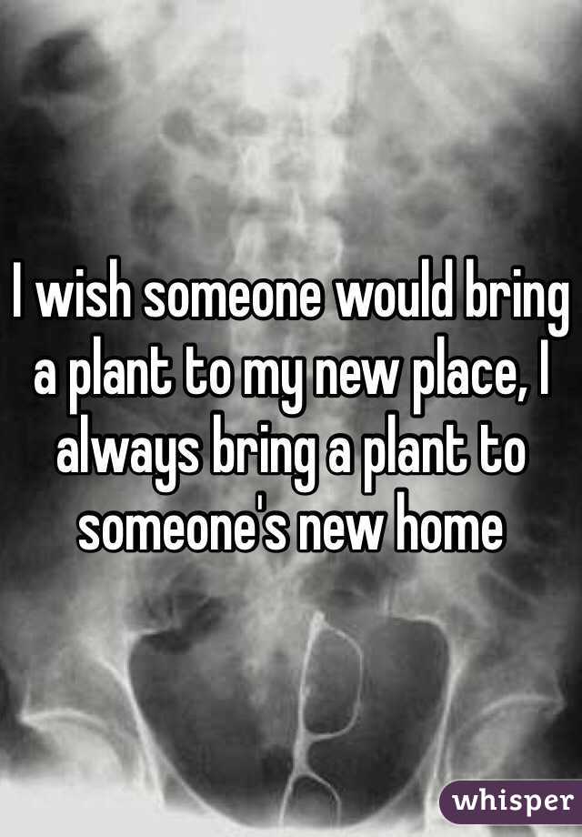 I wish someone would bring a plant to my new place, I always bring a plant to someone's new home