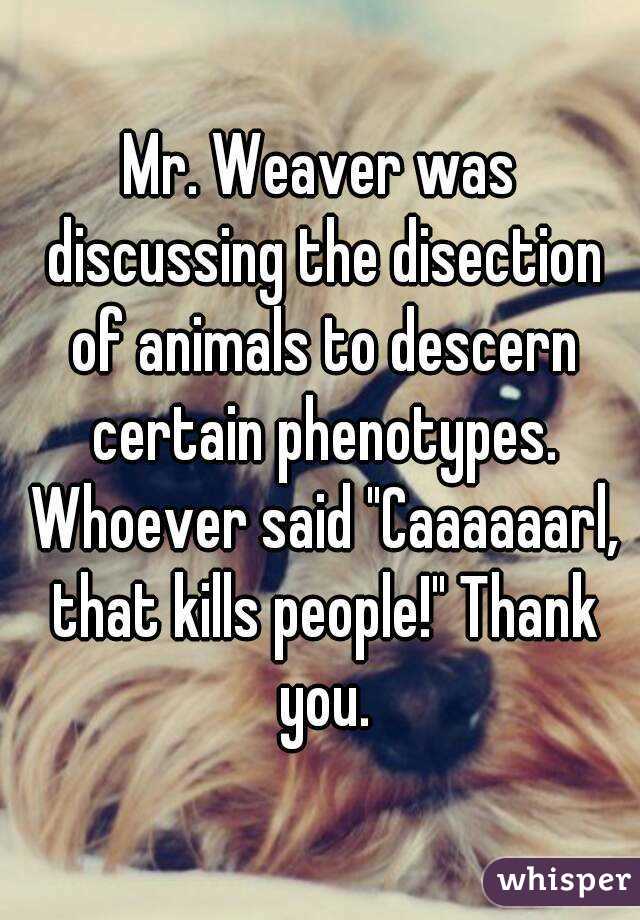 Mr. Weaver was discussing the disection of animals to descern certain phenotypes. Whoever said "Caaaaaarl, that kills people!" Thank you.