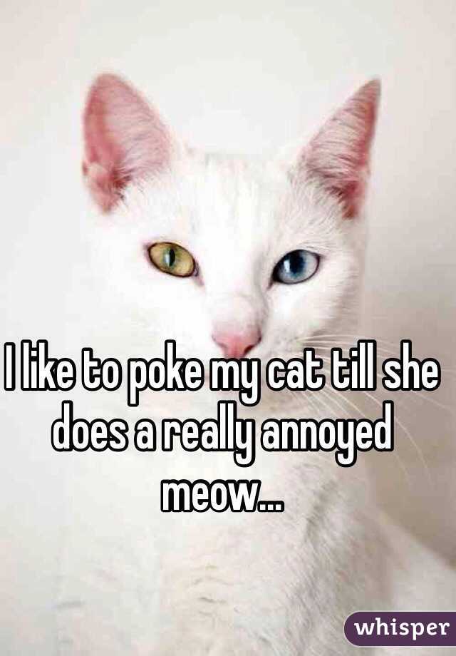 I like to poke my cat till she does a really annoyed meow... 