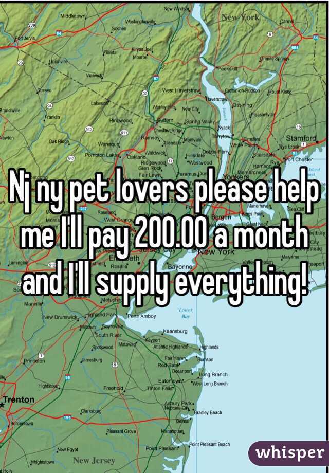 Nj ny pet lovers please help me I'll pay 200.00 a month and I'll supply everything! 