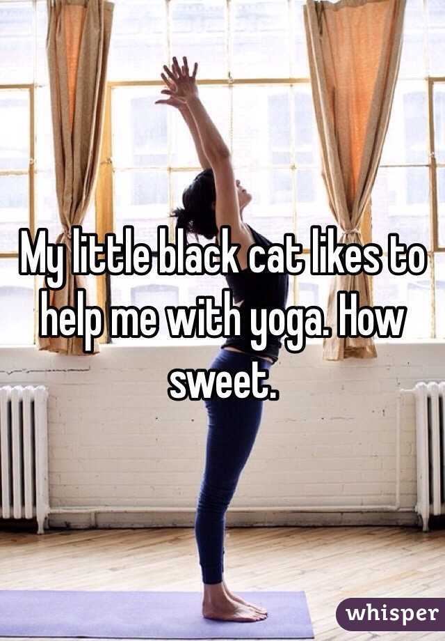 My little black cat likes to help me with yoga. How sweet.