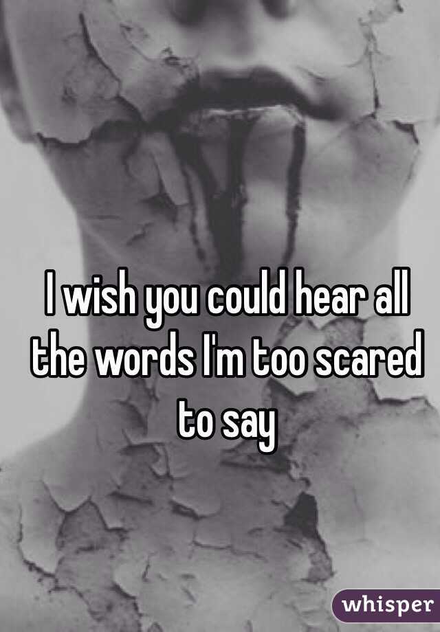 I wish you could hear all the words I'm too scared to say