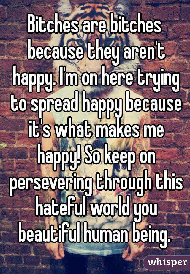 Bitches are bitches because they aren't happy. I'm on here trying to spread happy because it's what makes me happy! So keep on persevering through this hateful world you beautiful human being. 