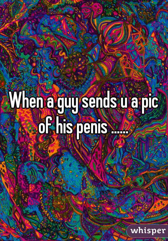 When a guy sends u a pic of his penis ...... 