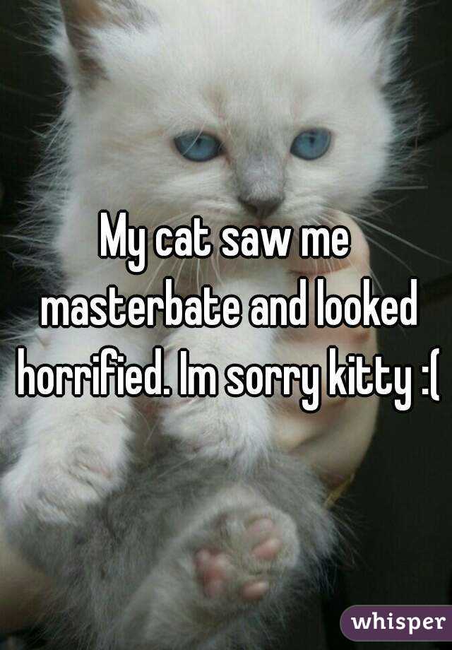 My cat saw me masterbate and looked horrified. Im sorry kitty :(