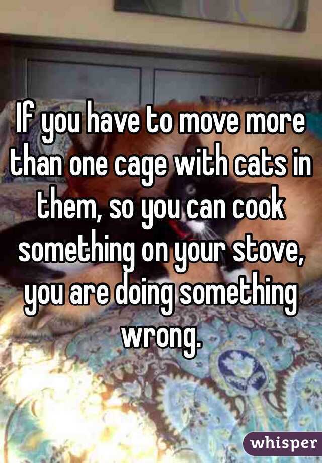 If you have to move more than one cage with cats in them, so you can cook something on your stove, you are doing something wrong. 