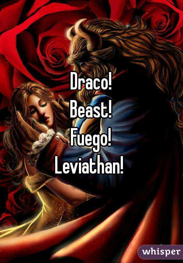 Draco!
Beast!
Fuego!
Leviathan! 