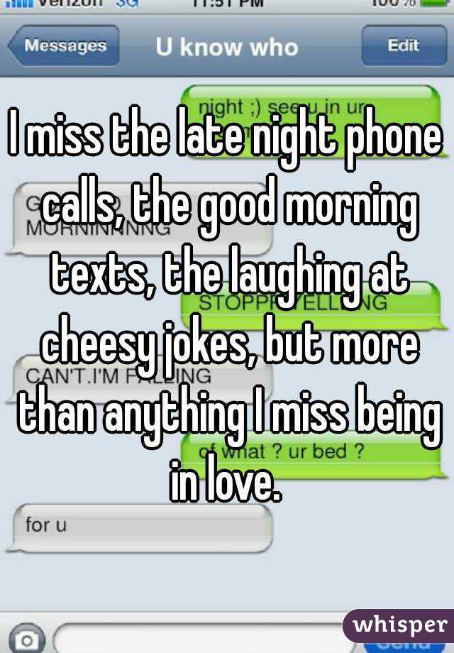 I miss the late night phone calls, the good morning texts, the laughing at cheesy jokes, but more than anything I miss being in love. 