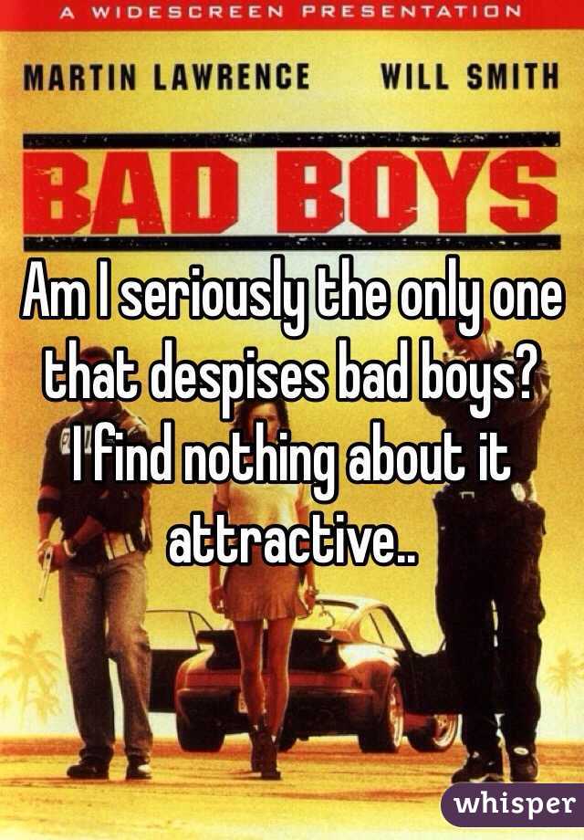 Am I seriously the only one that despises bad boys?
I find nothing about it attractive..
