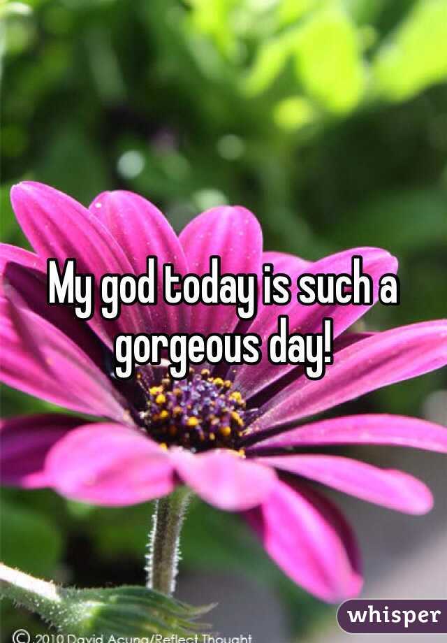 My god today is such a gorgeous day!