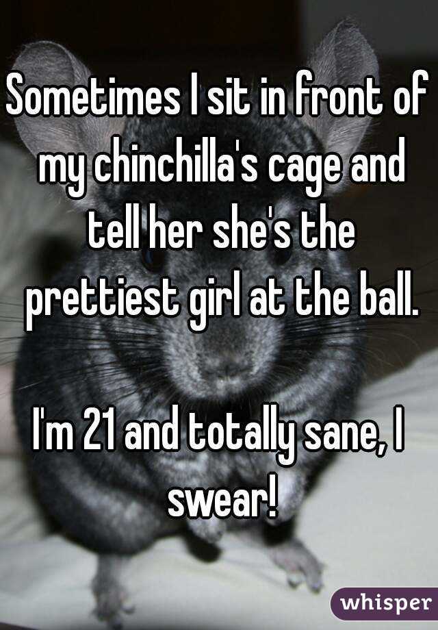 Sometimes I sit in front of my chinchilla's cage and tell her she's the prettiest girl at the ball.

I'm 21 and totally sane, I swear!