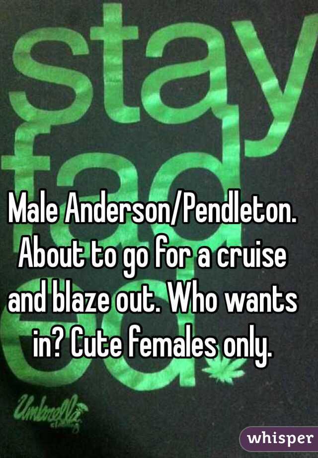 Male Anderson/Pendleton. About to go for a cruise and blaze out. Who wants in? Cute females only.