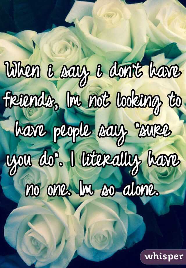 When i say i don't have friends, Im not looking to have people say "sure you do". I literally have no one. Im so alone.