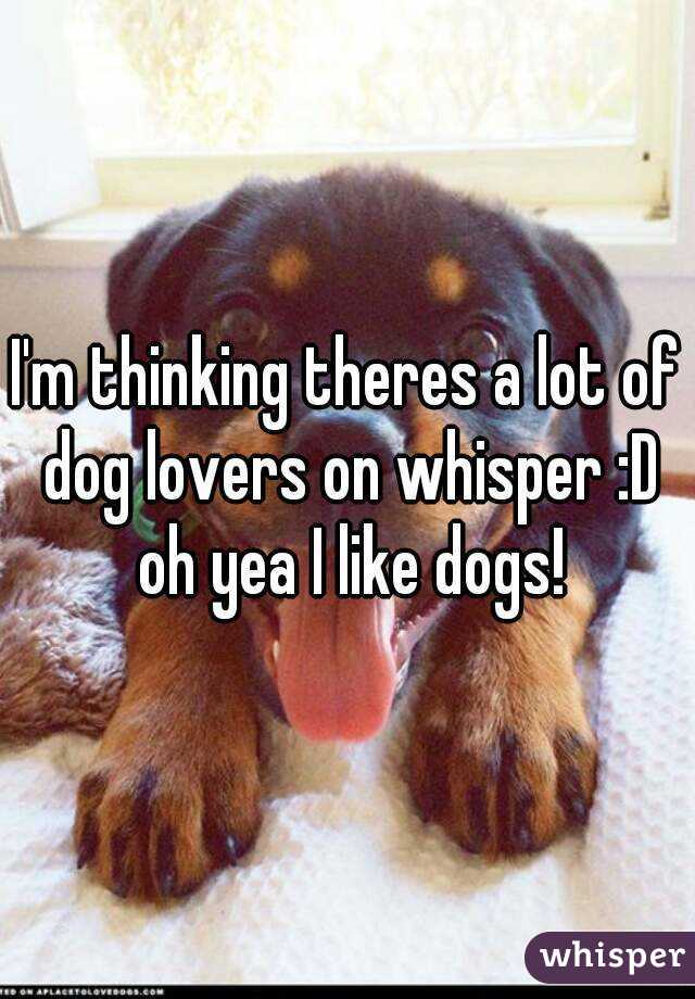 I'm thinking theres a lot of dog lovers on whisper :D oh yea I like dogs!