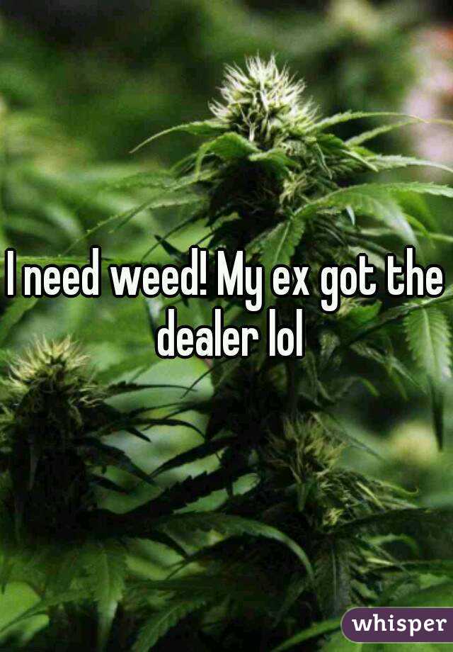 I need weed! My ex got the dealer lol