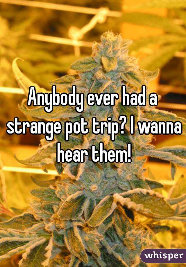 Anybody ever had a strange pot trip? I wanna hear them!