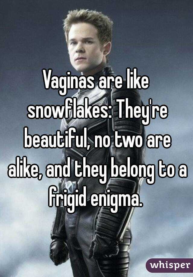 Vaginas are like snowflakes: They're beautiful, no two are alike, and they belong to a frigid enigma. 