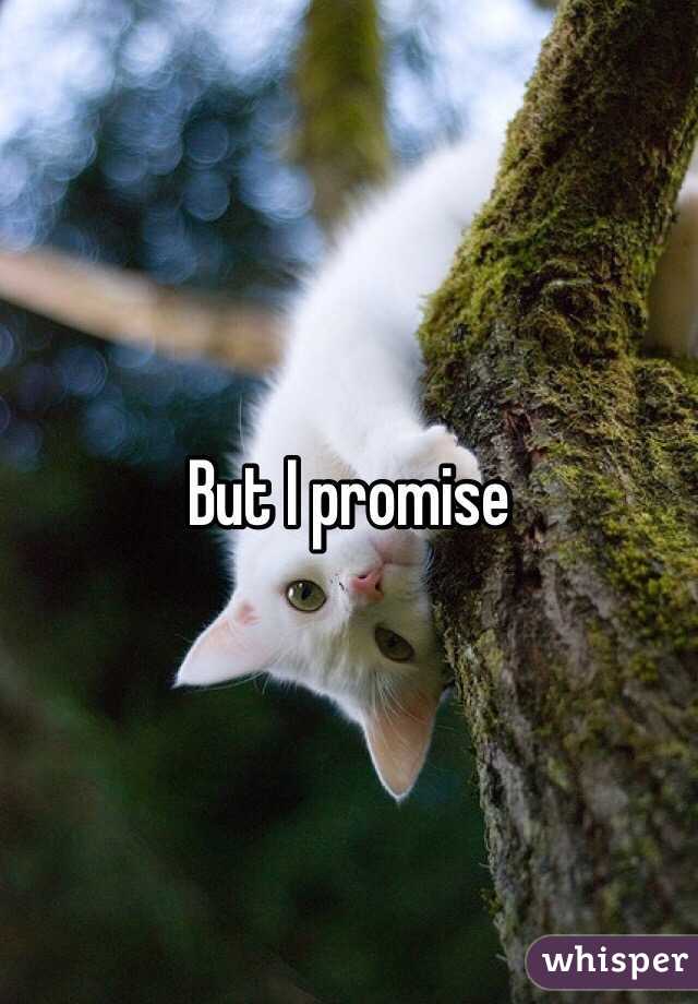 But I promise 