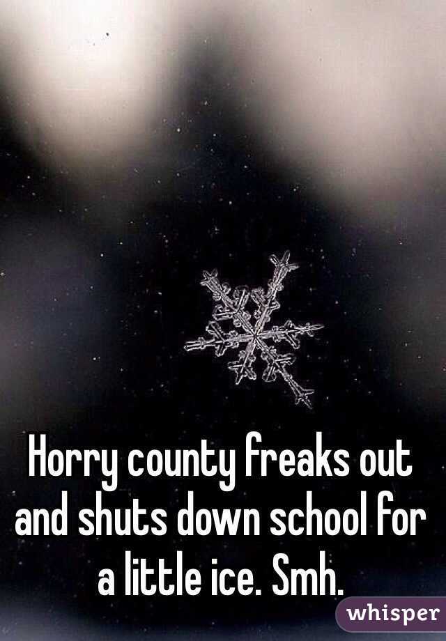 Horry county freaks out and shuts down school for a little ice. Smh. 