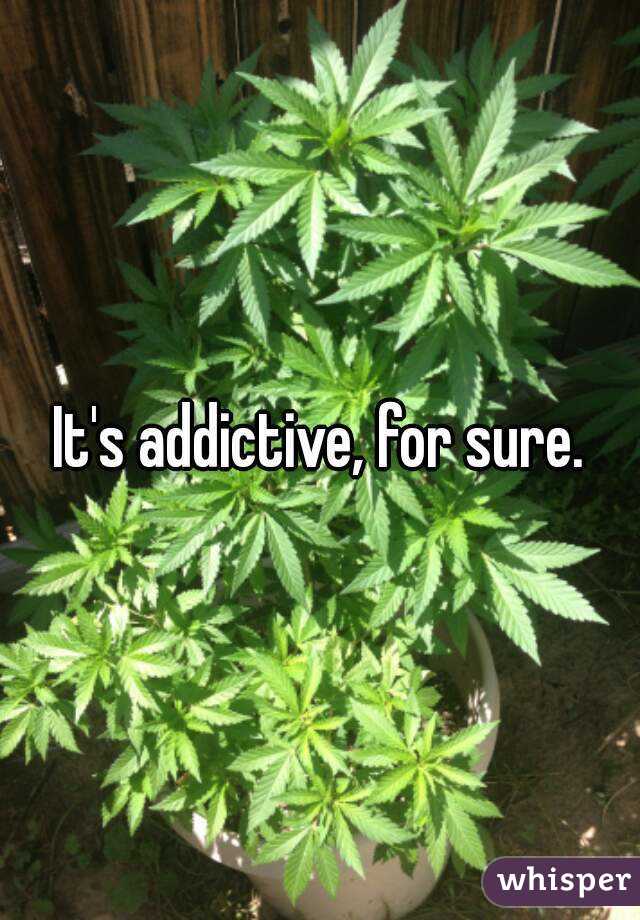 It's addictive, for sure.