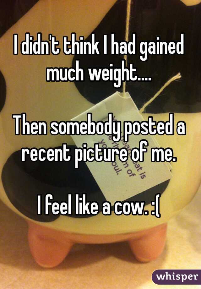 I didn't think I had gained much weight....

Then somebody posted a recent picture of me.

I feel like a cow. :(