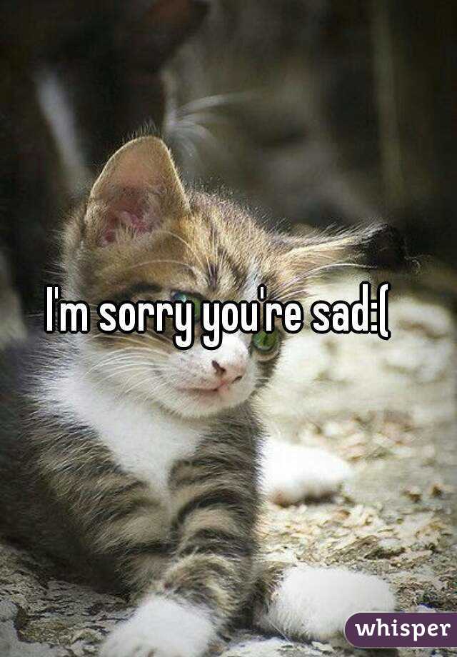 I'm sorry you're sad:(