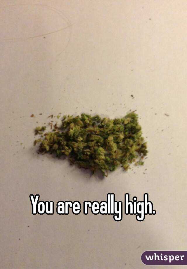 You are really high.