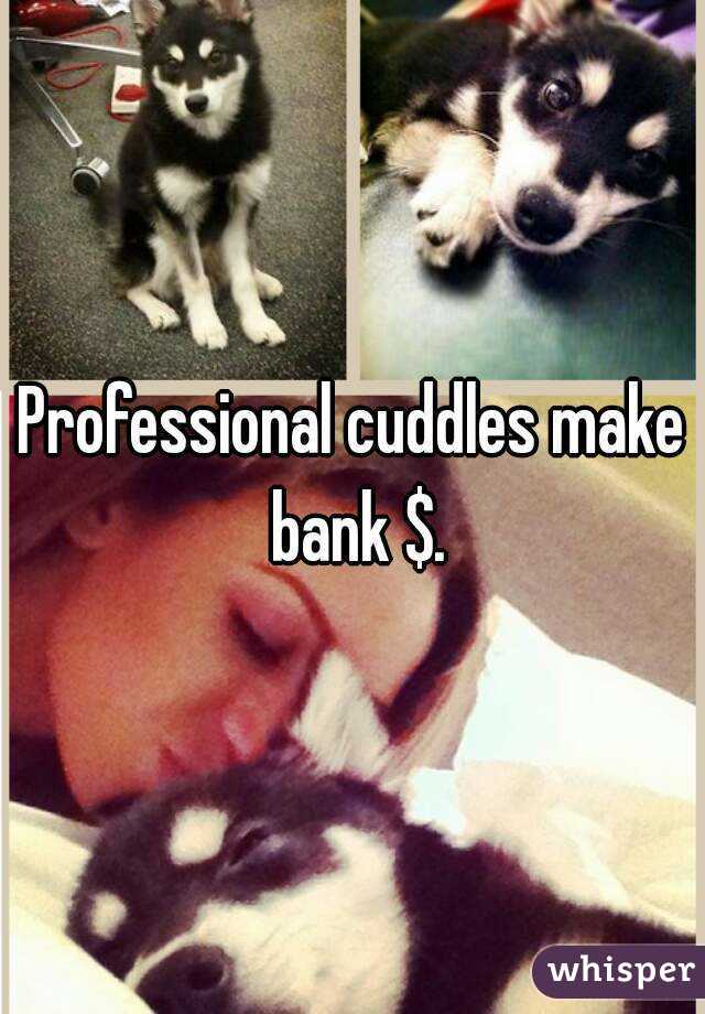 Professional cuddles make bank $.