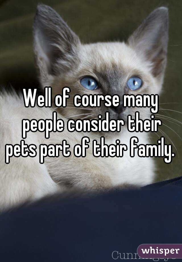 Well of course many people consider their pets part of their family. 