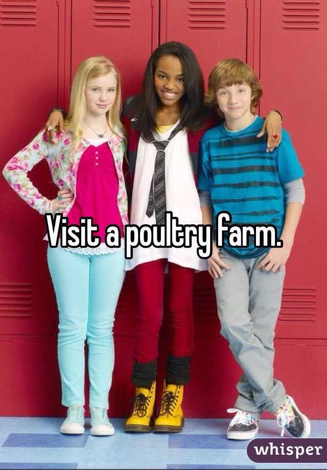 Visit a poultry farm. 