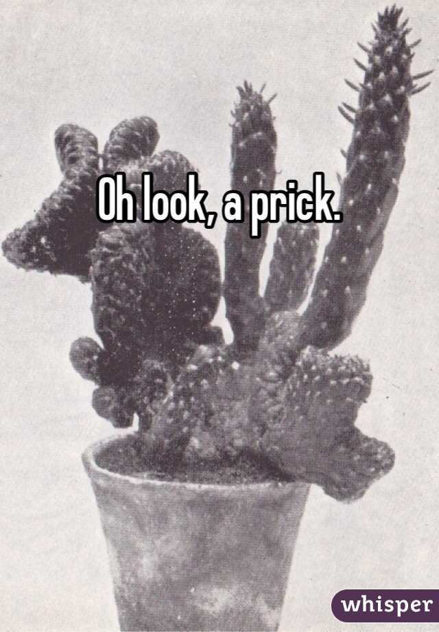 Oh look, a prick.