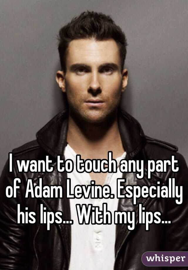 I want to touch any part of Adam Levine. Especially his lips... With my lips... 
