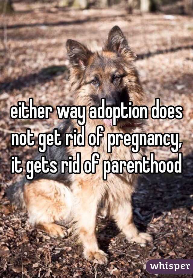 either way adoption does not get rid of pregnancy, it gets rid of parenthood