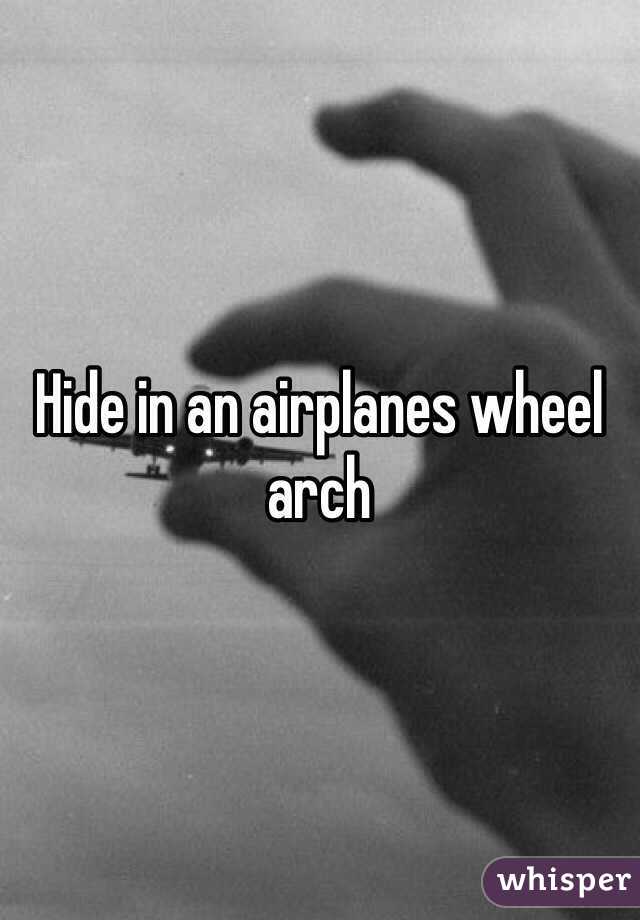 Hide in an airplanes wheel arch 