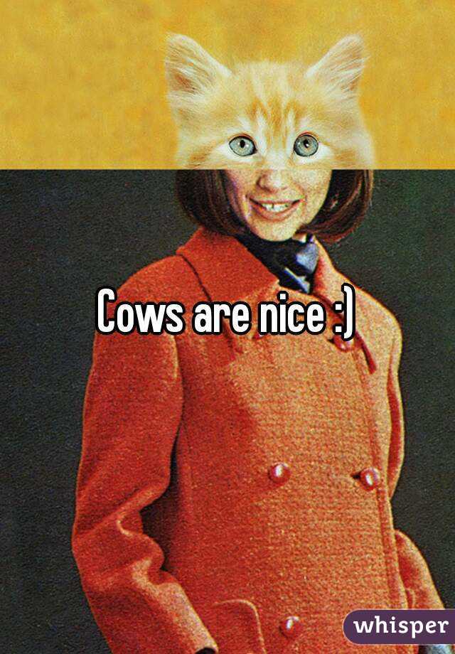 Cows are nice :)